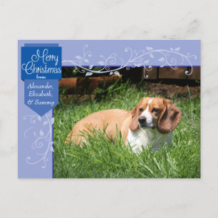 Blue Tab und Schnörkel Weihnachts-Foto Postcard Feiertagspostkarte
