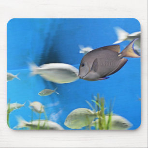 Blue Tang Fish Mousepad