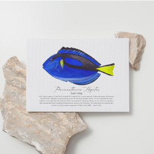 Blue Tang Fish Postcard Feiertagspostkarte