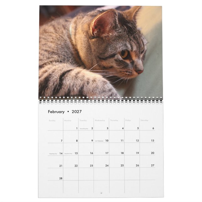 Blue the Cat - Kalender 2021 (Feb 2027)