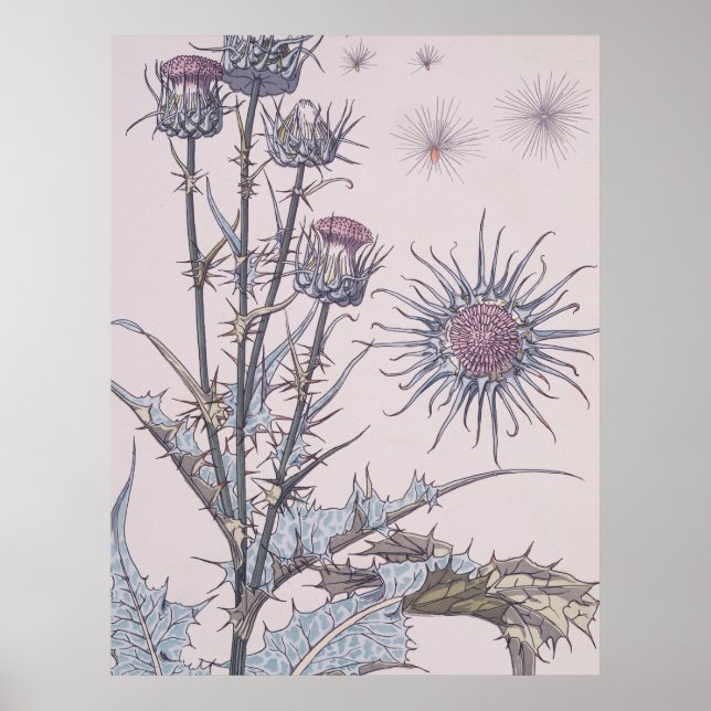 Blue Thistle Poster (Vorne)