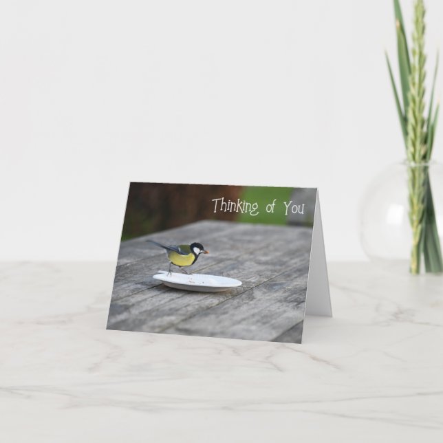 Blue Tit Bird Fütternd Denken Karte (Vorderseite)