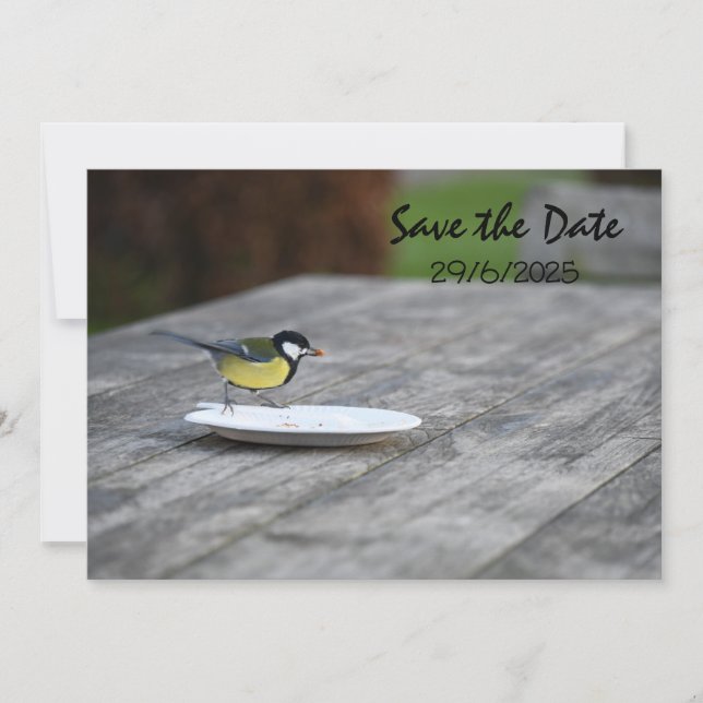 Blue Tit Bird Füttre Save the Date Einladungskarte (Vorderseite)