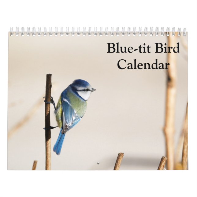 Blue-Tit Bird-Kalender 2025 Kalender (Titelbild)