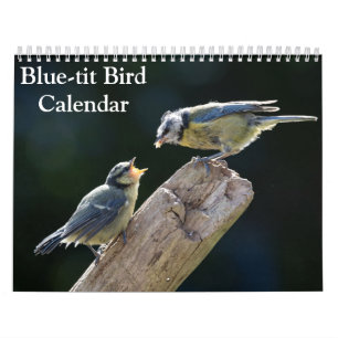 Blue-Tit Bird-Kalender 2026 Kalender