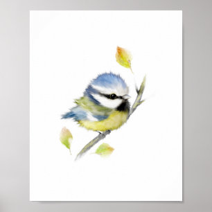 Blue tit Bird Poster Print