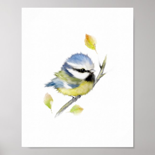 Blue tit Bird Poster Print (Vorne)