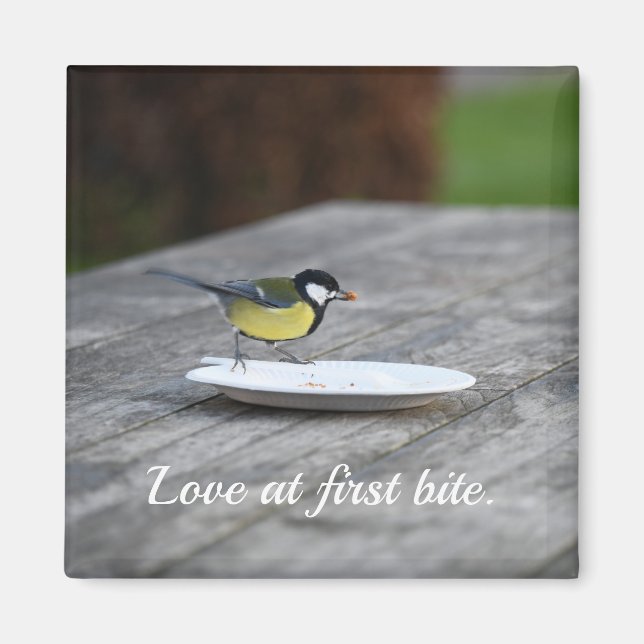 Blue Tit Fütternd auf Cake Plate Liebe bei First B Magnet (Vorne)