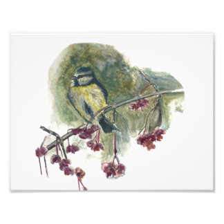 Blue tit Watercolor print von Marie Anne Art Fotodruck