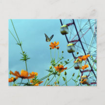 Blue Triangle Butterfly & Cosmos Blume: Japan