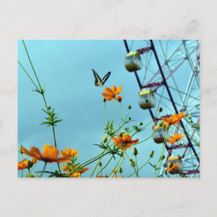 Blue Triangle Butterfly & Cosmos Blume: Japan Postkarte