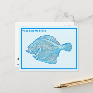 Blue Turbot Postkarte
