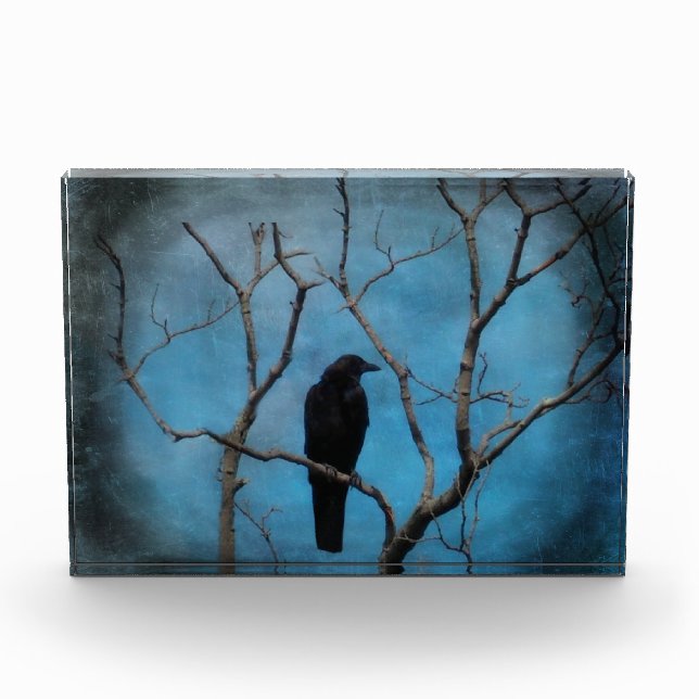 Blue Twilight Crow Fotoblock (Vorderseite)