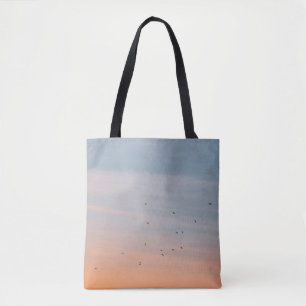 BLUE- UND ORANGE-SKIEN-FLOCK