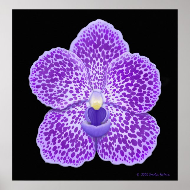 Blue Vanda Orchid Bloom Print Poster (Vorne)