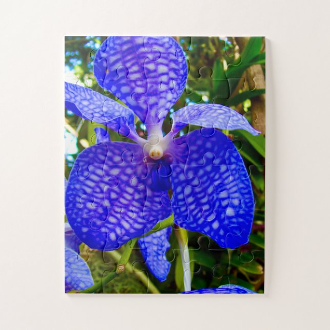 Blue Veins | Vanda Orchid for Alzheimer’s Awarenes Puzzle (Vertikal)