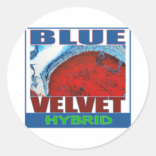BLUE VELVET HYBRID RUNDER AUFKLEBER