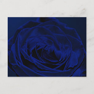 Blue Velvet Rose.jpg Postkarte