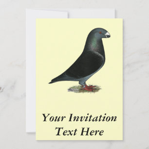 Blue Velvet Show Racer Einladung