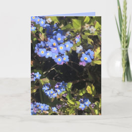 Blue Vergessen-Me-Not-Blume Karte