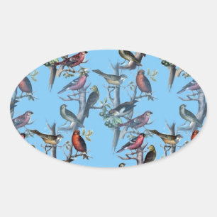 Blue Vintag Art Birds Muster Accessoires LeahG Ovaler Aufkleber