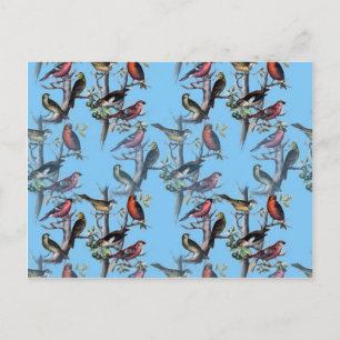Blue Vintag Art Birds Muster Accessoires LeahG Postkarte
