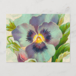 Blue Vintag Pansy Watercolor Postkarte