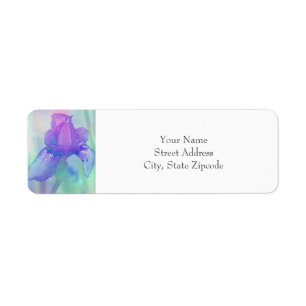 Blue Violet Iris Digital Watercolor