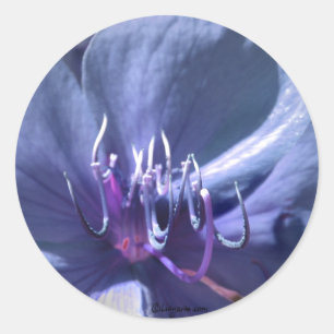Blue Violet Wedding Umschlag Aufkleber Sticker