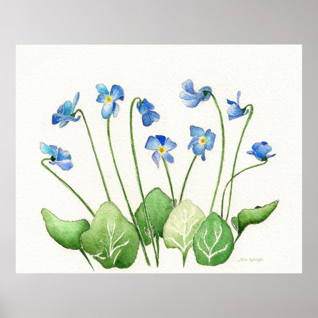 Blue Violets Poster Print (Vorne)