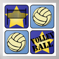 Blue Volleyball