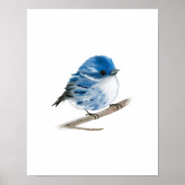Blue Warbler Bird Print Poster