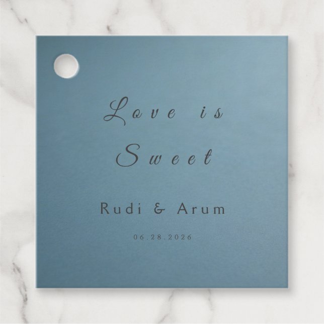 Blue Wedding Favor Tag Geschenkanhänger (Vorderseite)