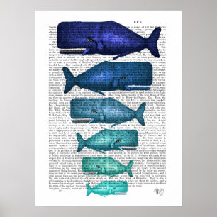 Blue Whale Family Poster