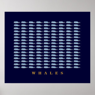 Blue Whales Decr Walls Poster