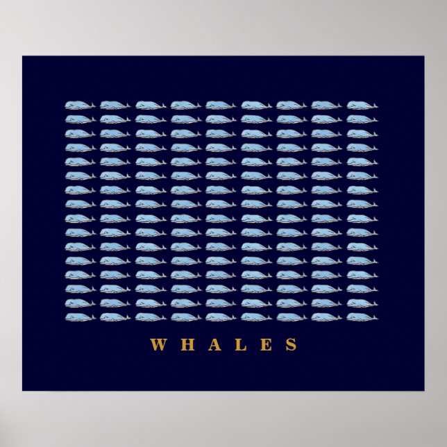Blue Whales Decr Walls Poster (Vorne)
