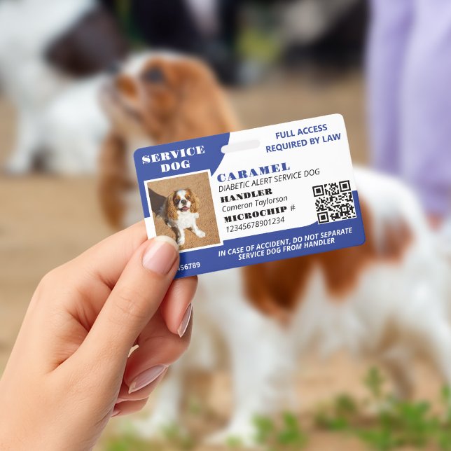 Blue White Service Hund Foto ID QR Code Ausweis (Von Creator hochgeladen)