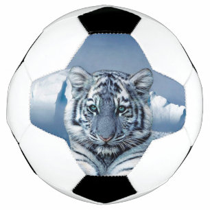 Blue White Tiger Fußball