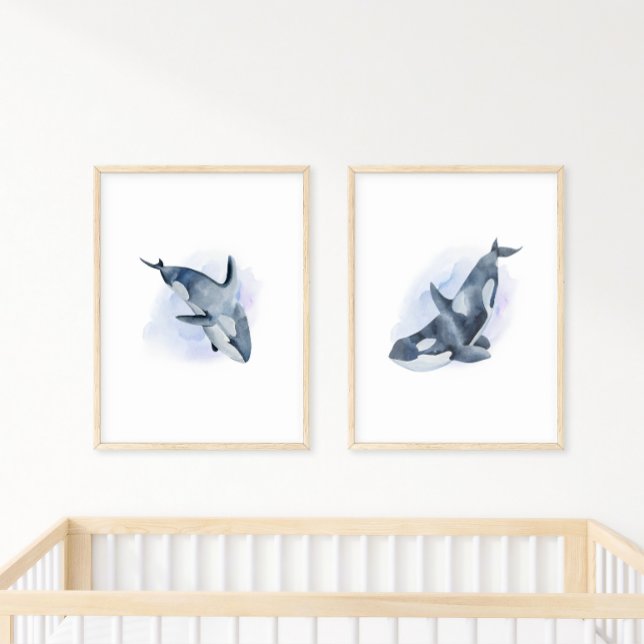 Blue White Watercolor Orca Killer Whale Poster (Von Creator hochgeladen)
