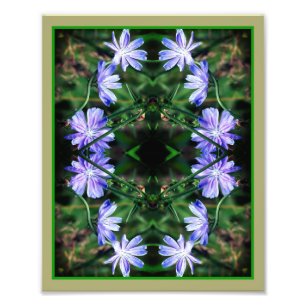 Blue Wild Chicory Blume Mirror Abstrakt 8x10 Fotodruck