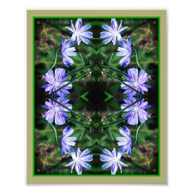Blue Wild Chicory Blume Mirror Abstrakt 8x10 Fotodruck (Vorne)