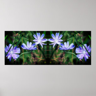 Blue Wild Chicory Blume Mirror Abstrakt Poster