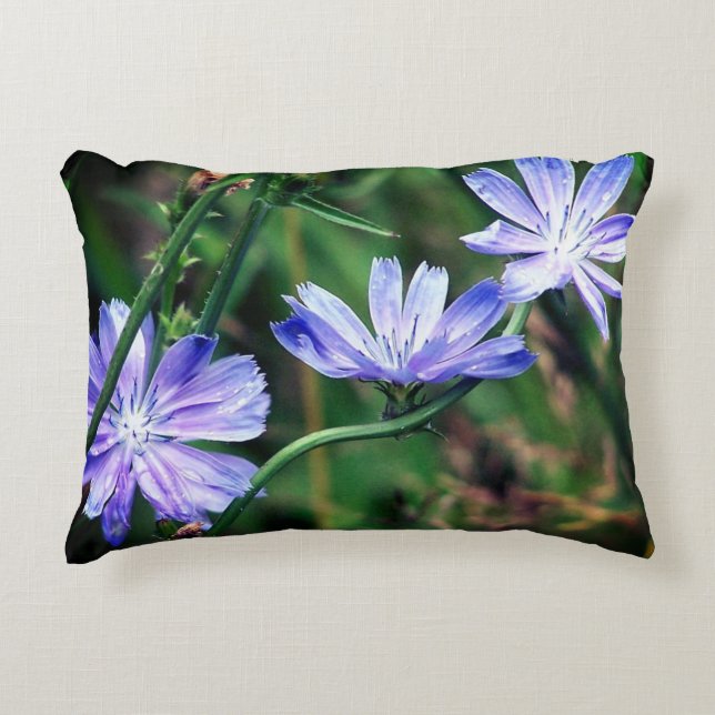 Blue Wild Chicory Blume Trio Dekokissen (Vorderseite)