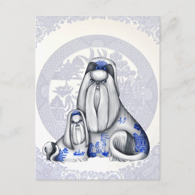 Blue Willow Shih Tzus Postcard Postkarte (Vorderseite)