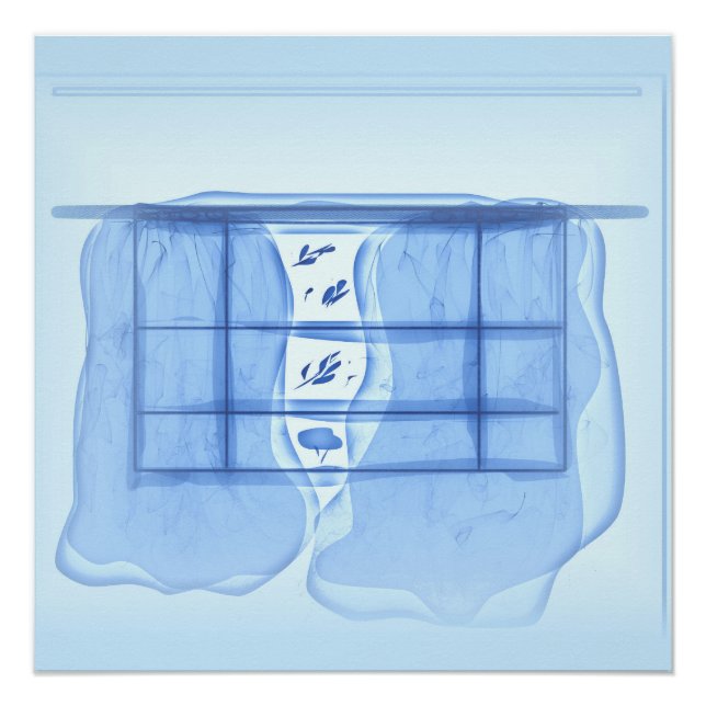 Blue window. poster (Vorderseite)