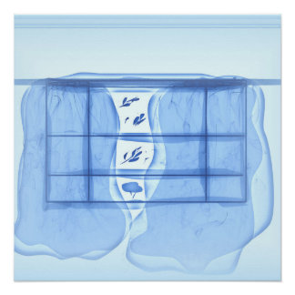 Blue window. poster