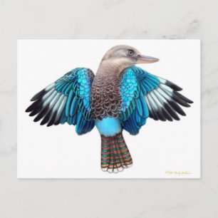 Blue Winged Kookaburra Postcard Postkarte
