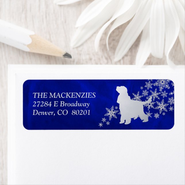 Blue Winter English Cocker Spanische Rücksendeadre (Insitu)