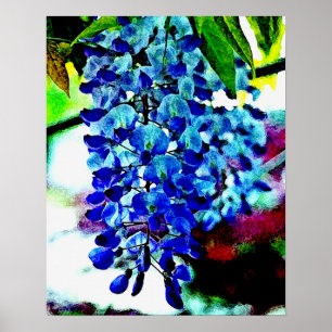 Blue Wisteria Poster