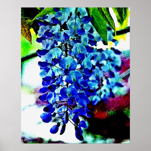 Blue Wisteria Poster (Vorne)